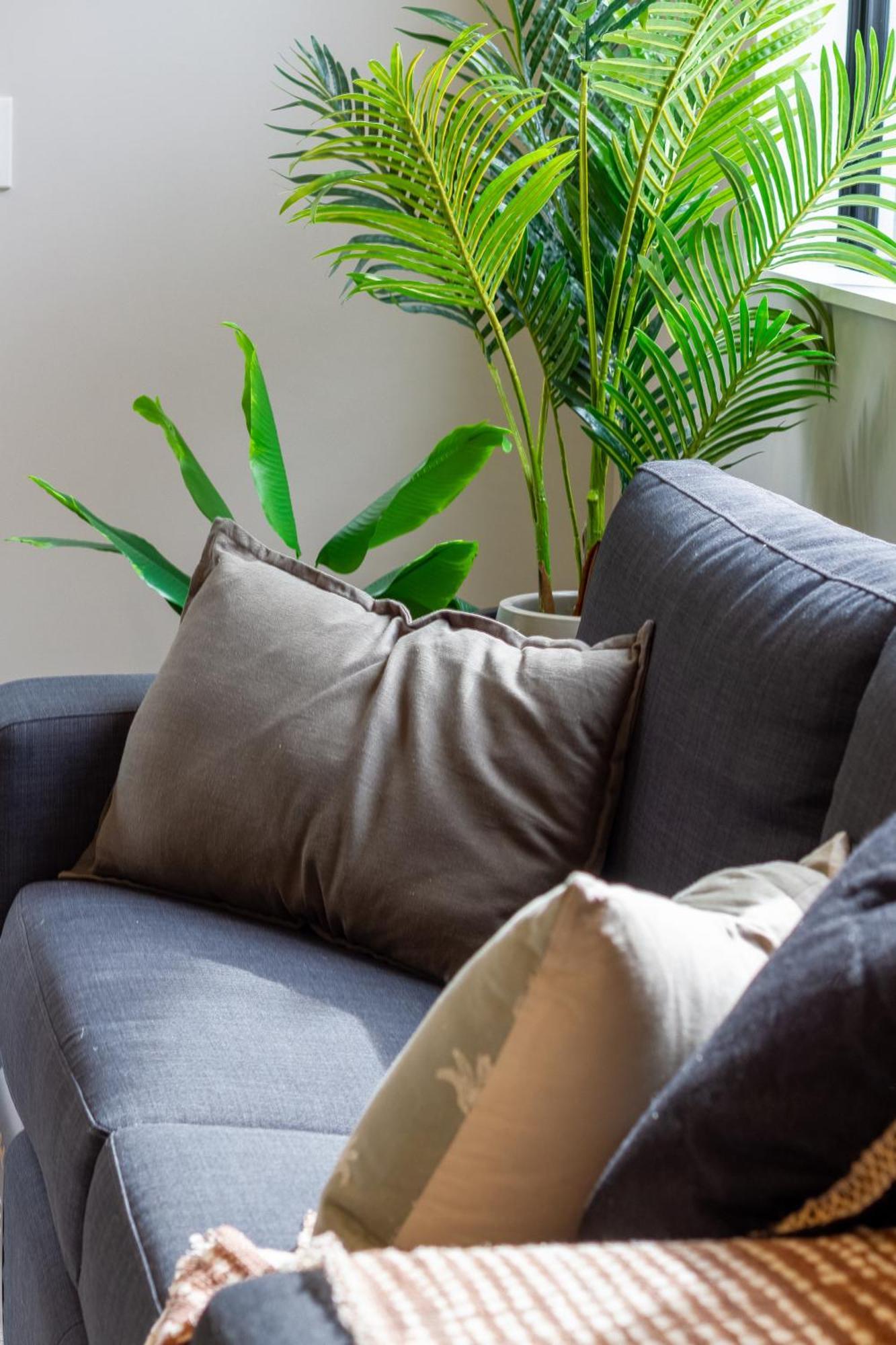 כרייסטצ'רץ' Latimer Square Luxe: 1Br W/ Sofa Bed מראה חיצוני תמונה